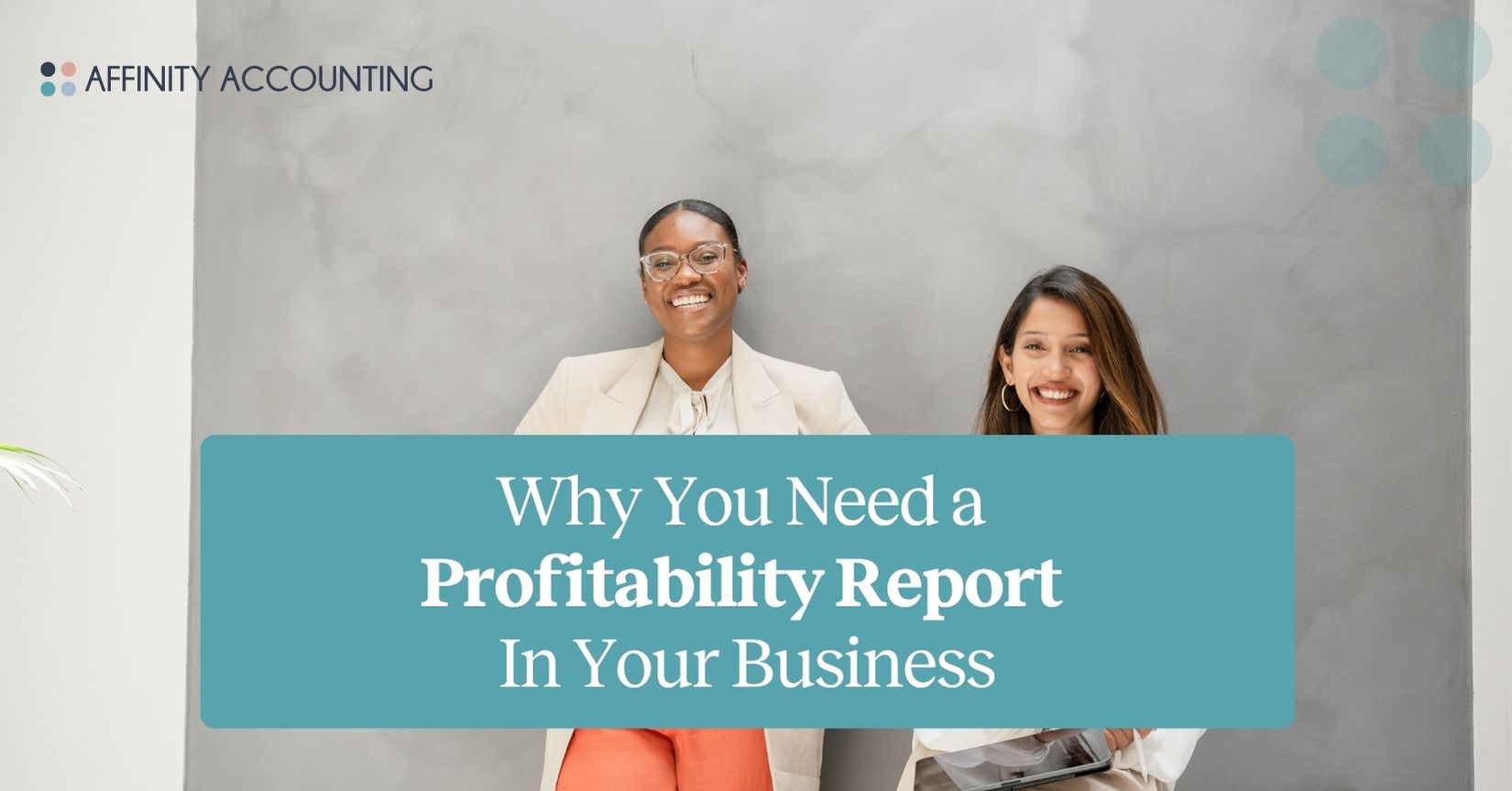 profitability report